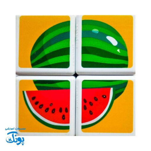 مکعب های مغناطیسی میوه ها