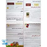 بازی فکری آمیرزا