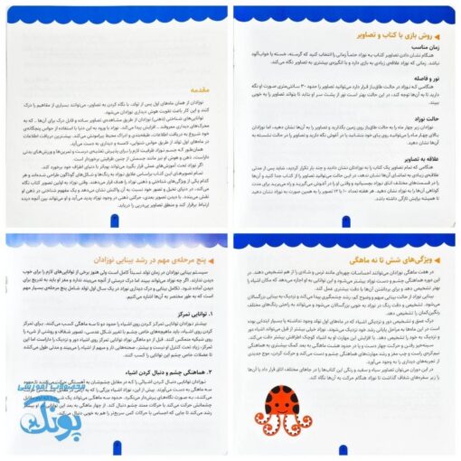مجموعه ۴ جلدی نوزاد باهوش من (۶ تا ۹ ماهگی)