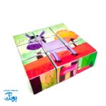 پازل مکعبی حیوانات اهلی ریزه میزه