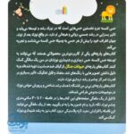 کتاب پارچه ای حیوانات جنگل