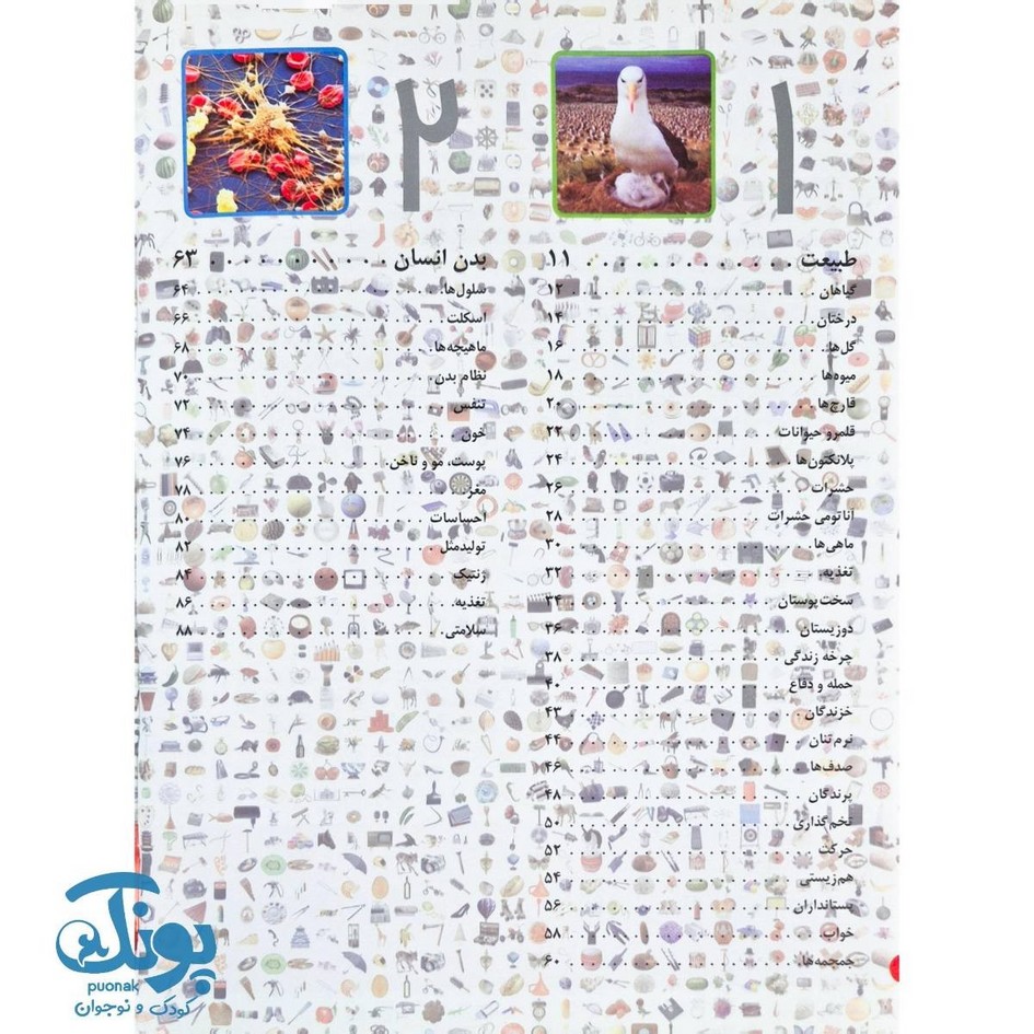 کتاب یک میلیون نکته (دانش ‌نامه تصویری)