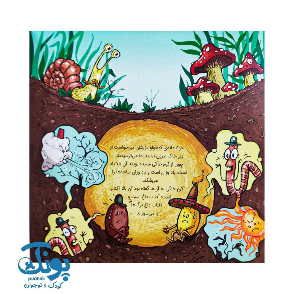کتاب پایین می‌ مانی یا بالا می روی