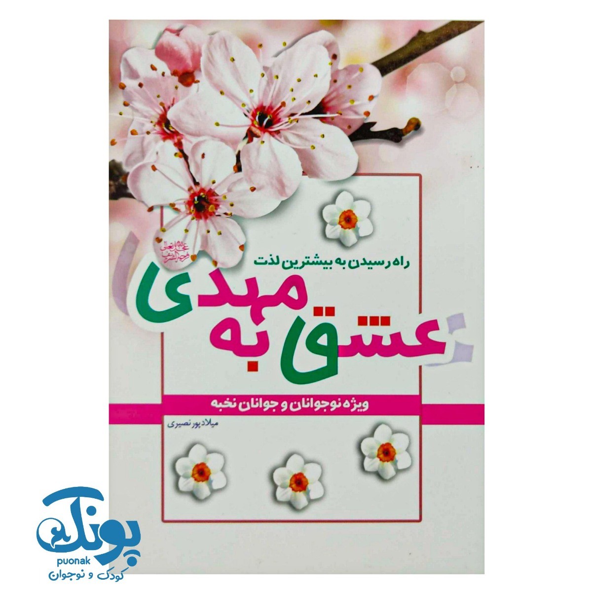 کتاب عشق به مهدی (راه رسیدن به بیشترین لذت)