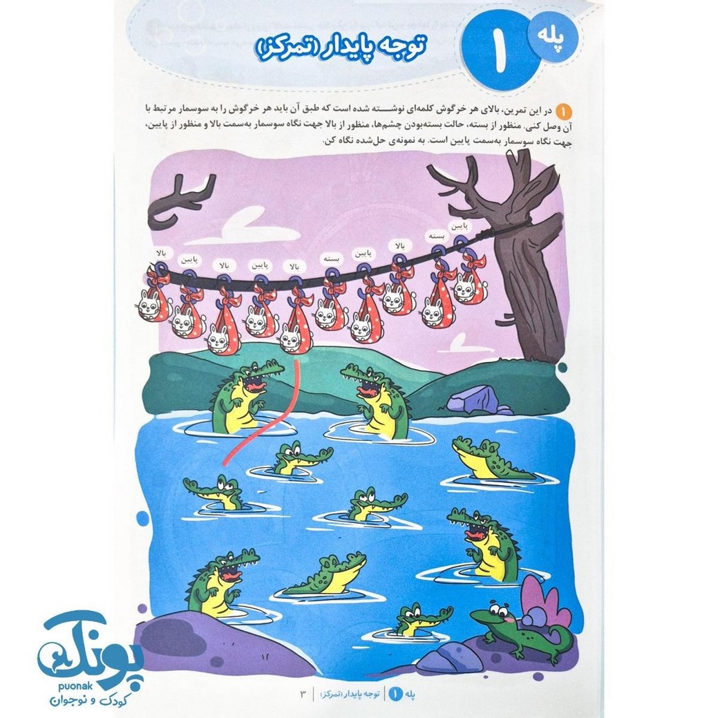 کتاب باشگاه مغز ۵ توجه و تمرکز
