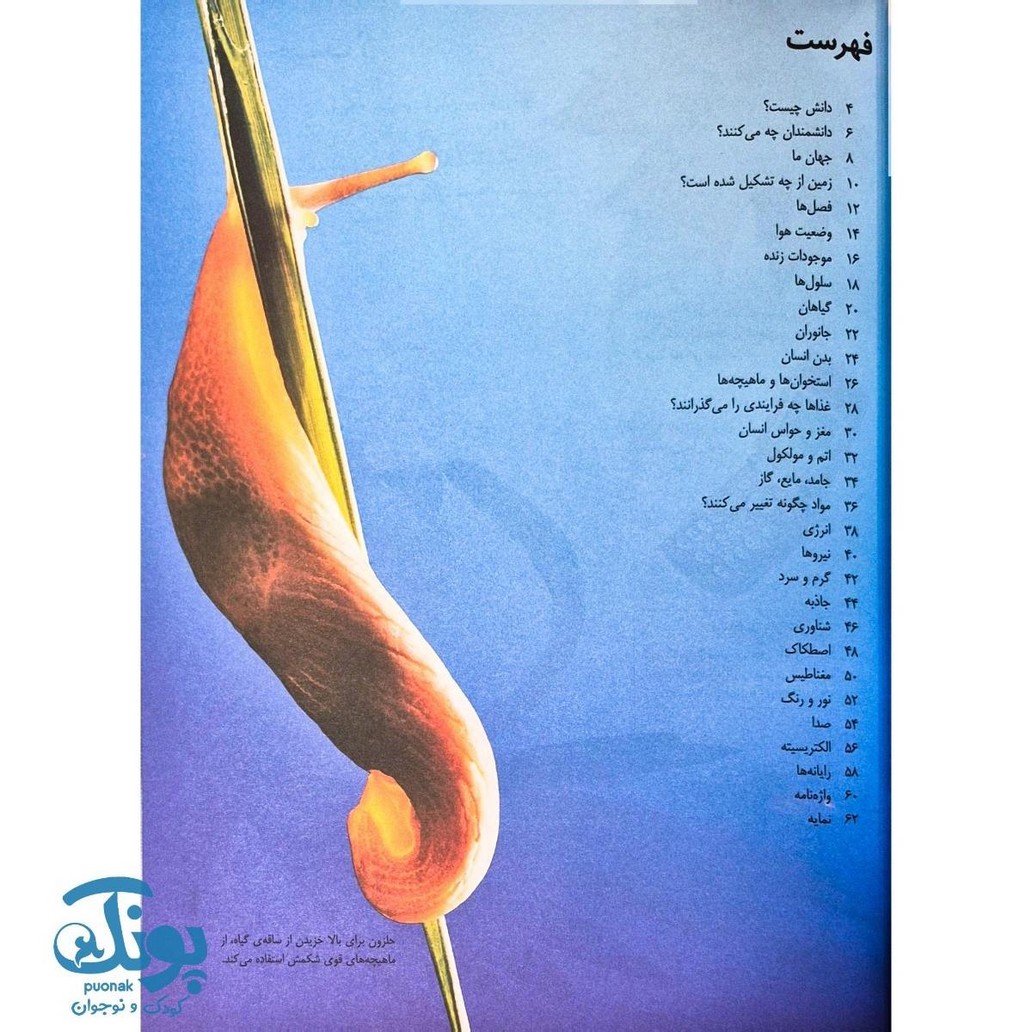 کتاب نخستین دایره المعارف جهان علم