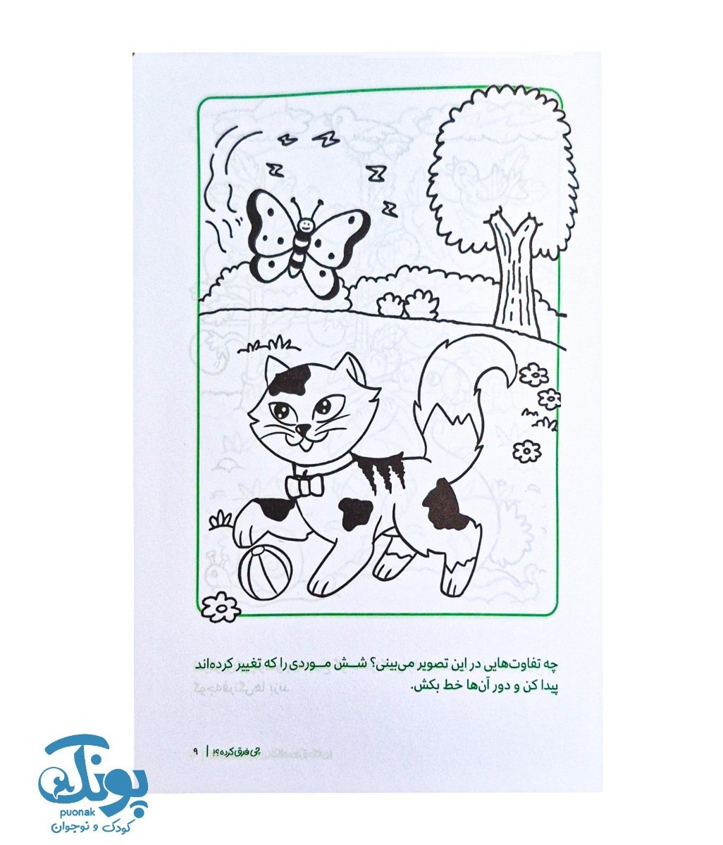 کتاب چی فرق کرده؟  مجموعه کتاب های گردو ۴