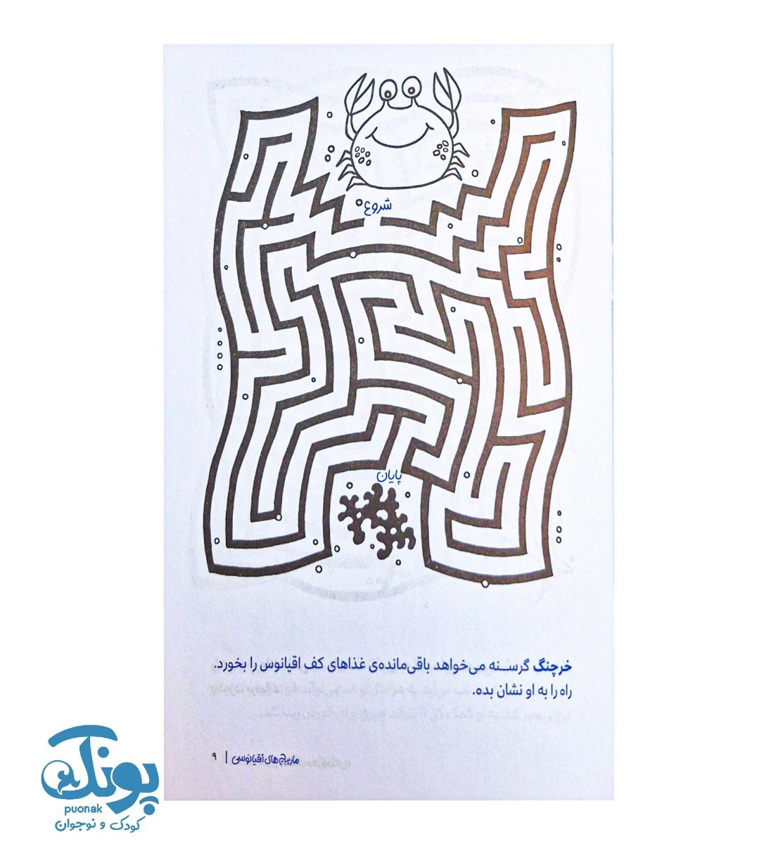 کتاب مارپیچ های اقیانوسی  مجموعه کتاب های گردو ۱۴