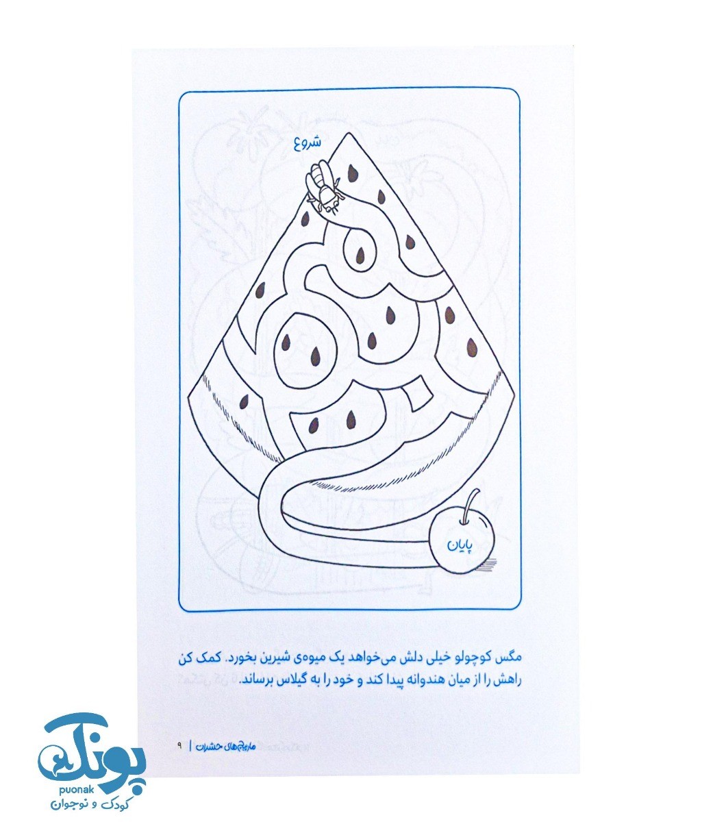 کتاب مارپیچ های حشرات  مجموعه کتاب های گردو ۱۲