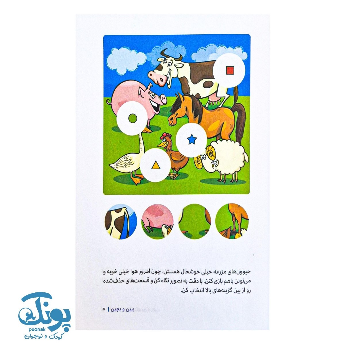 کتاب ببین و بچین  مجموعه کتاب های گردو ۱۸
